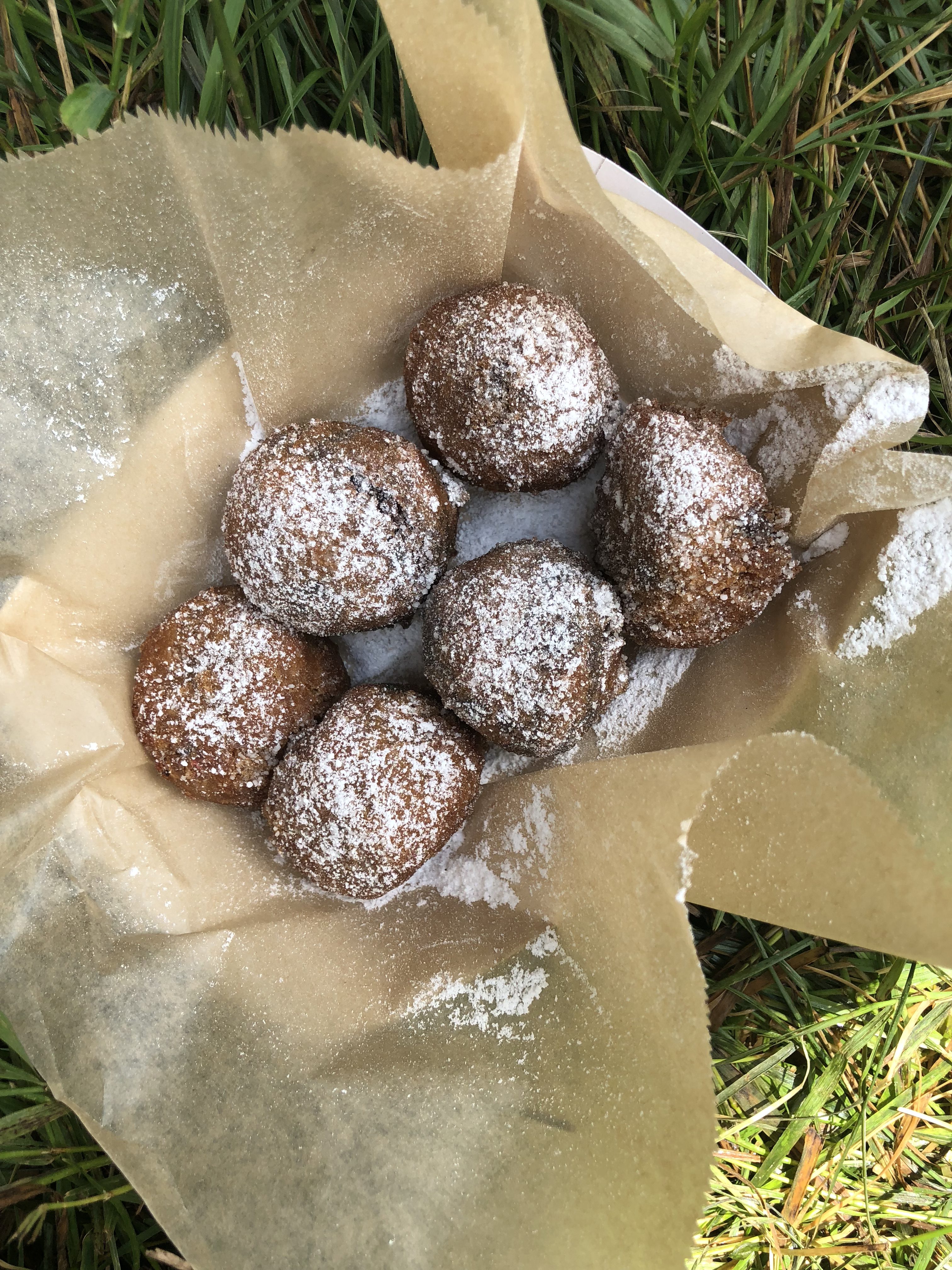 deep fried cookie dough bites electric forest