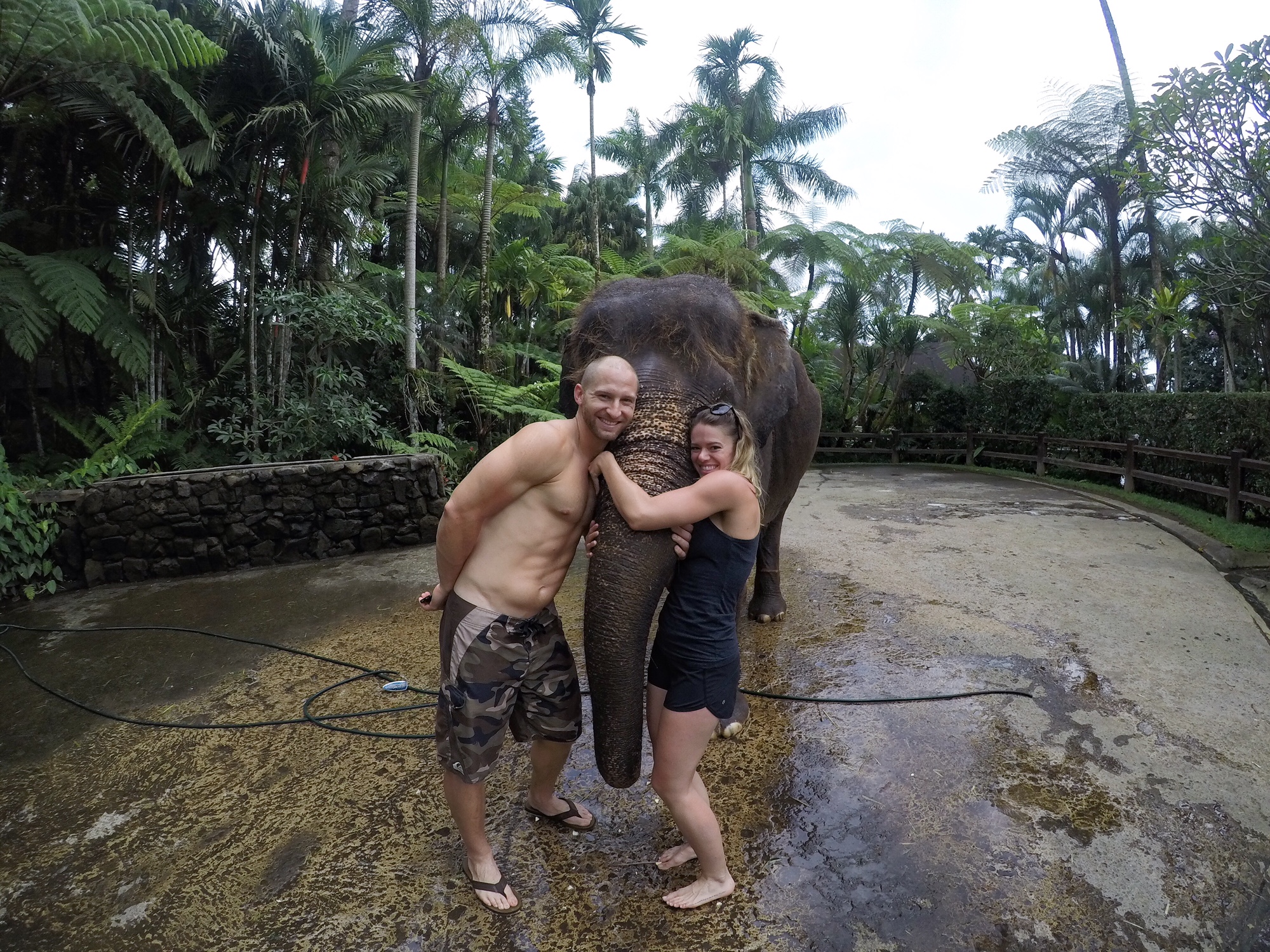 elephant sanctuary bali guide