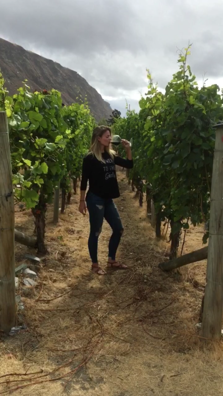 gibbston valley winery queenstown nz guide