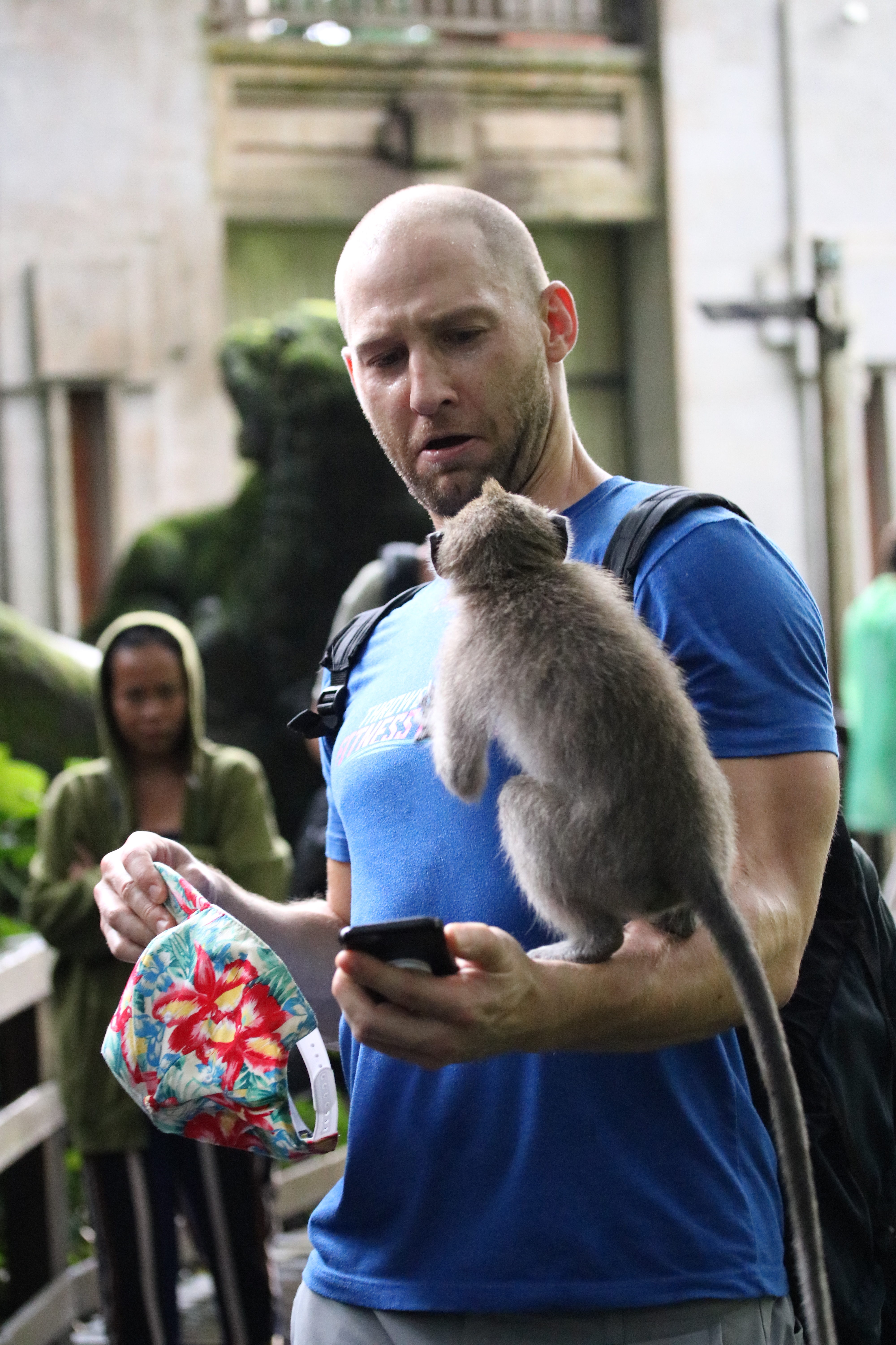 monkey forest bali guide