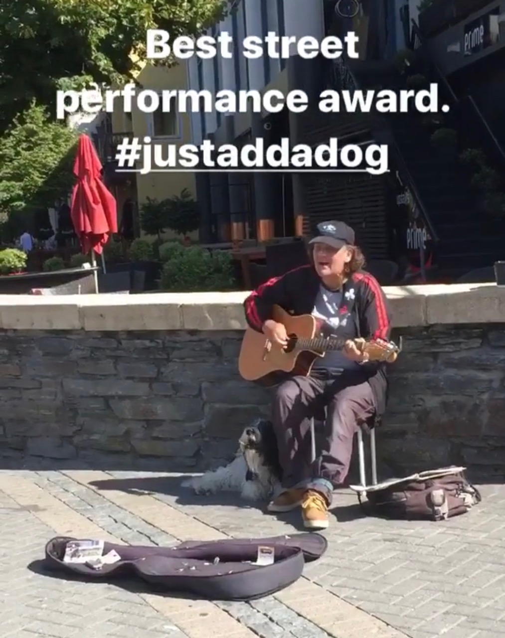 street performer queenstown nz guide