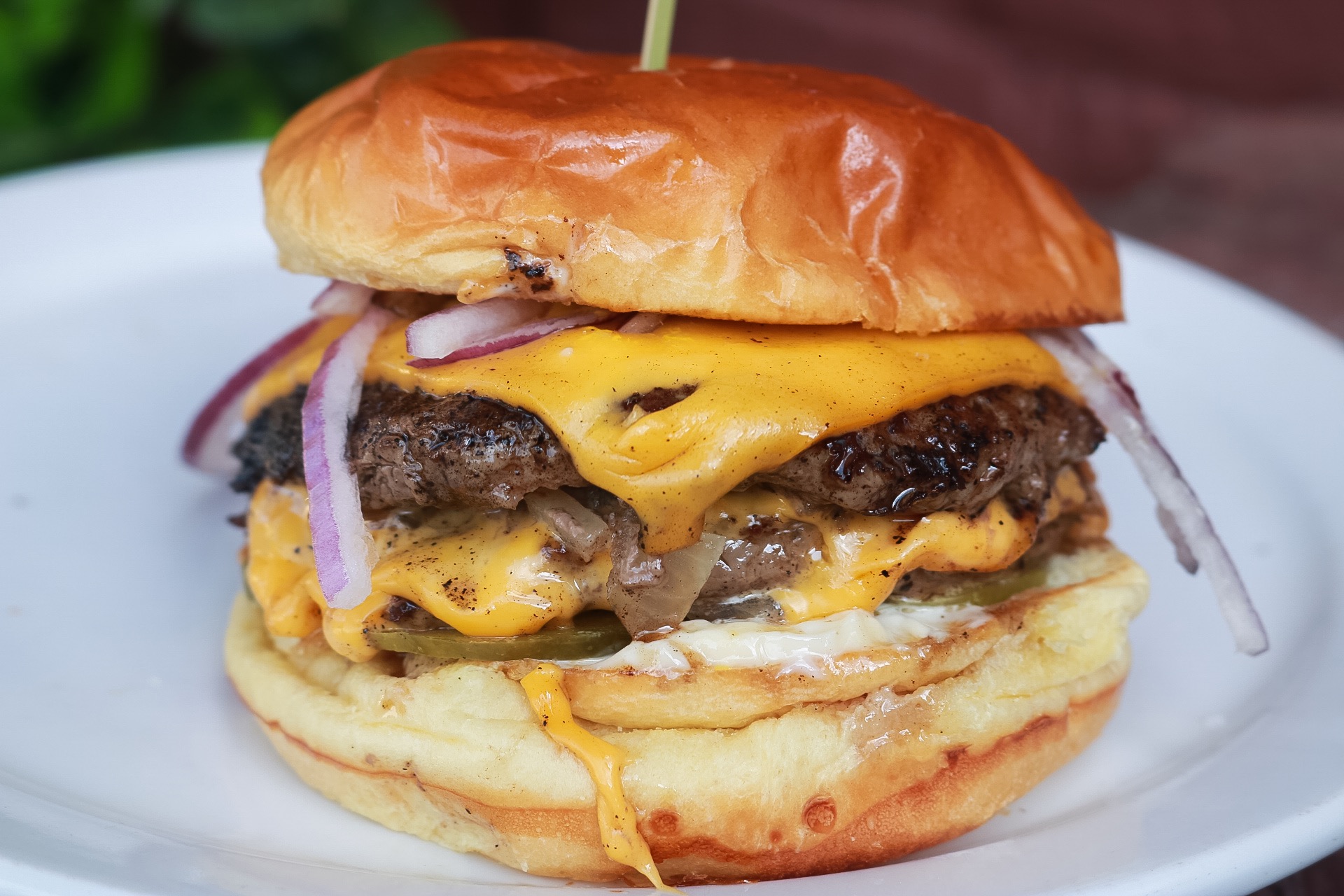 The Albert Burger