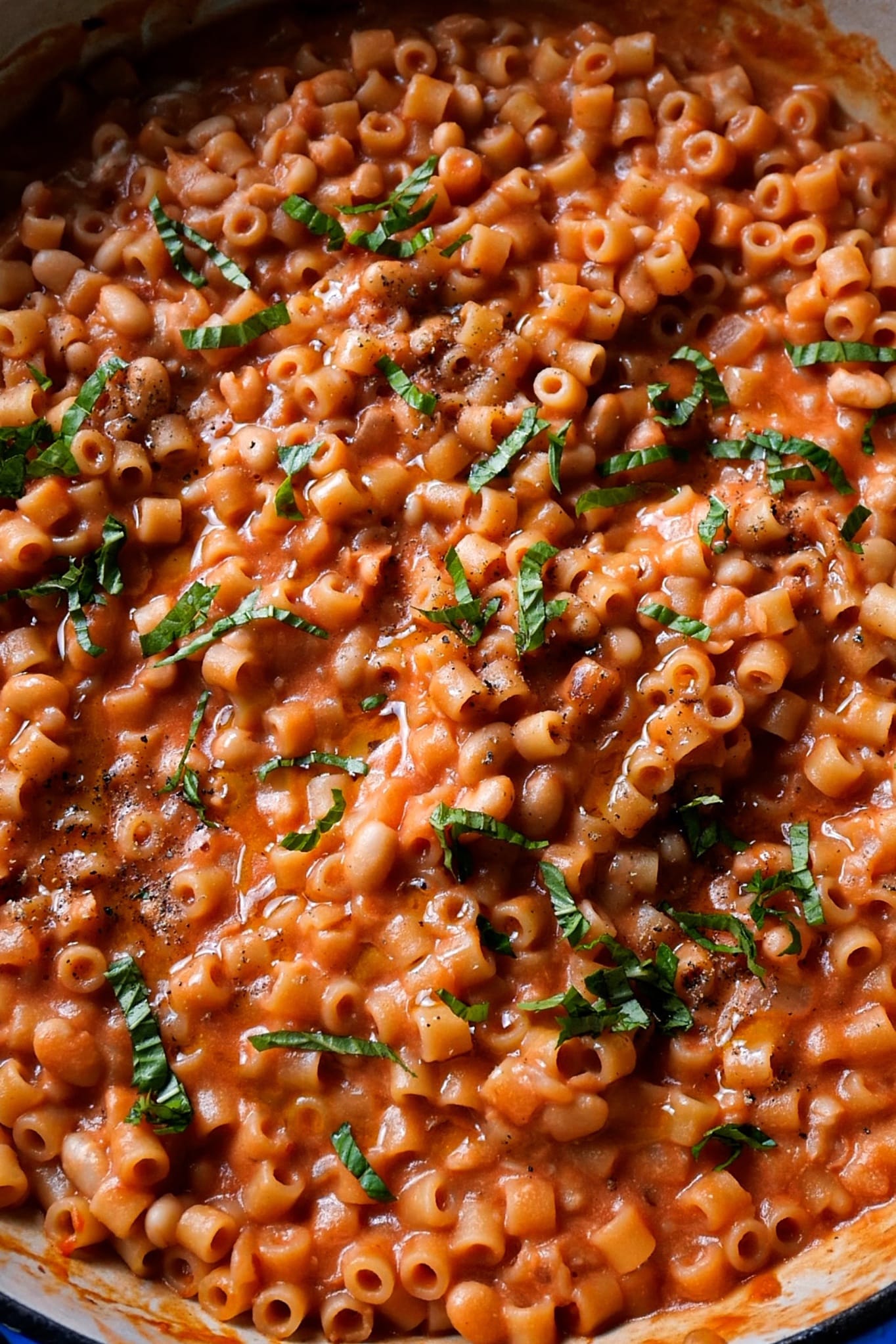 One-Pot Ditalini and White Bean alla Rossa