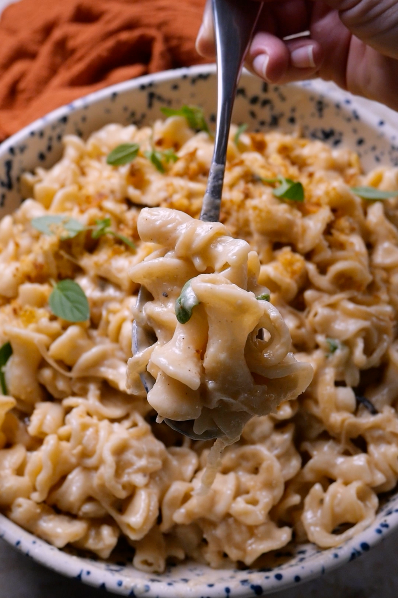 Creamy French Onion Pasta