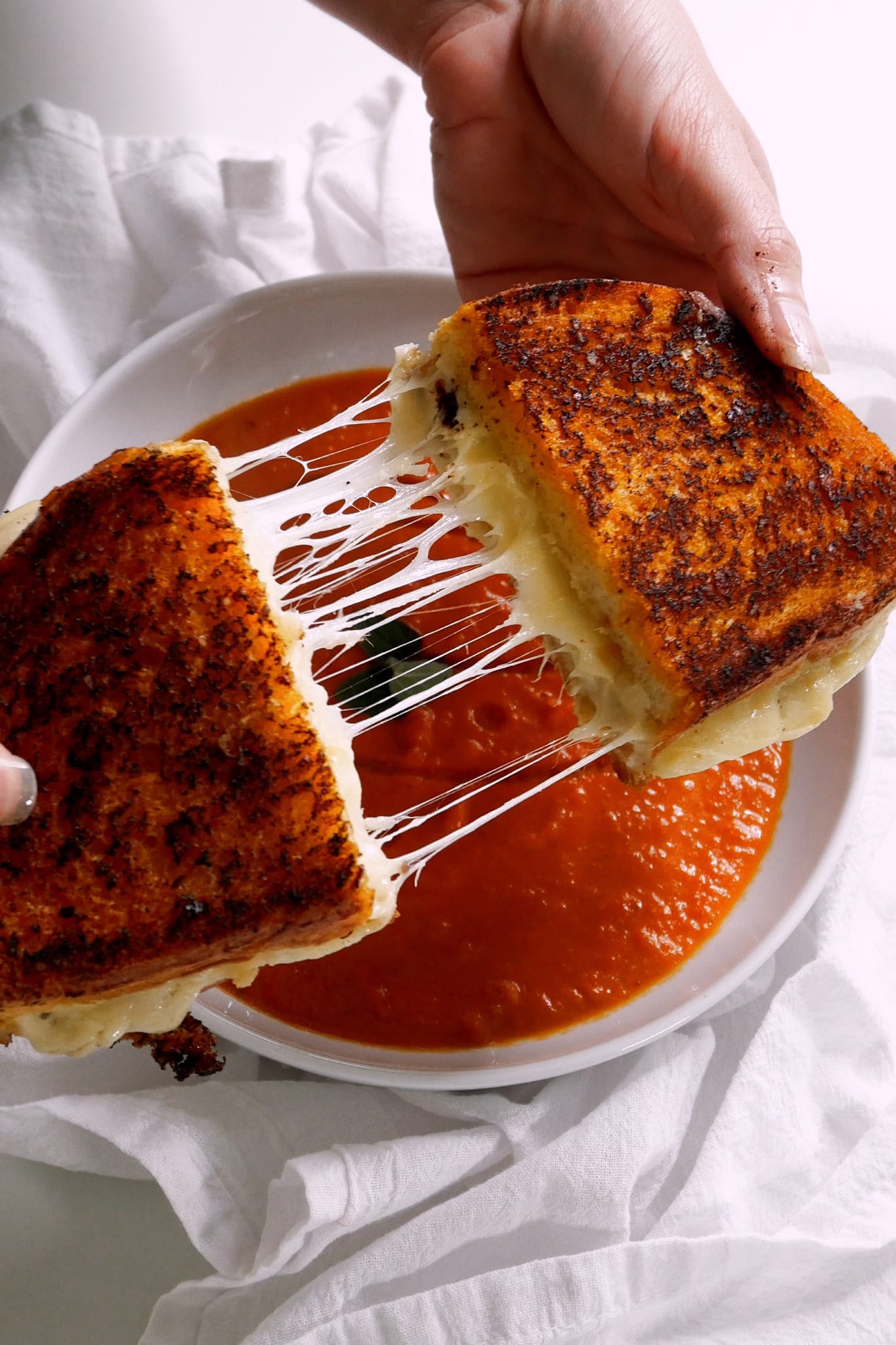 Roasted Garlic Tomato Butter Grilled Cheese + Easy Tomato Soup