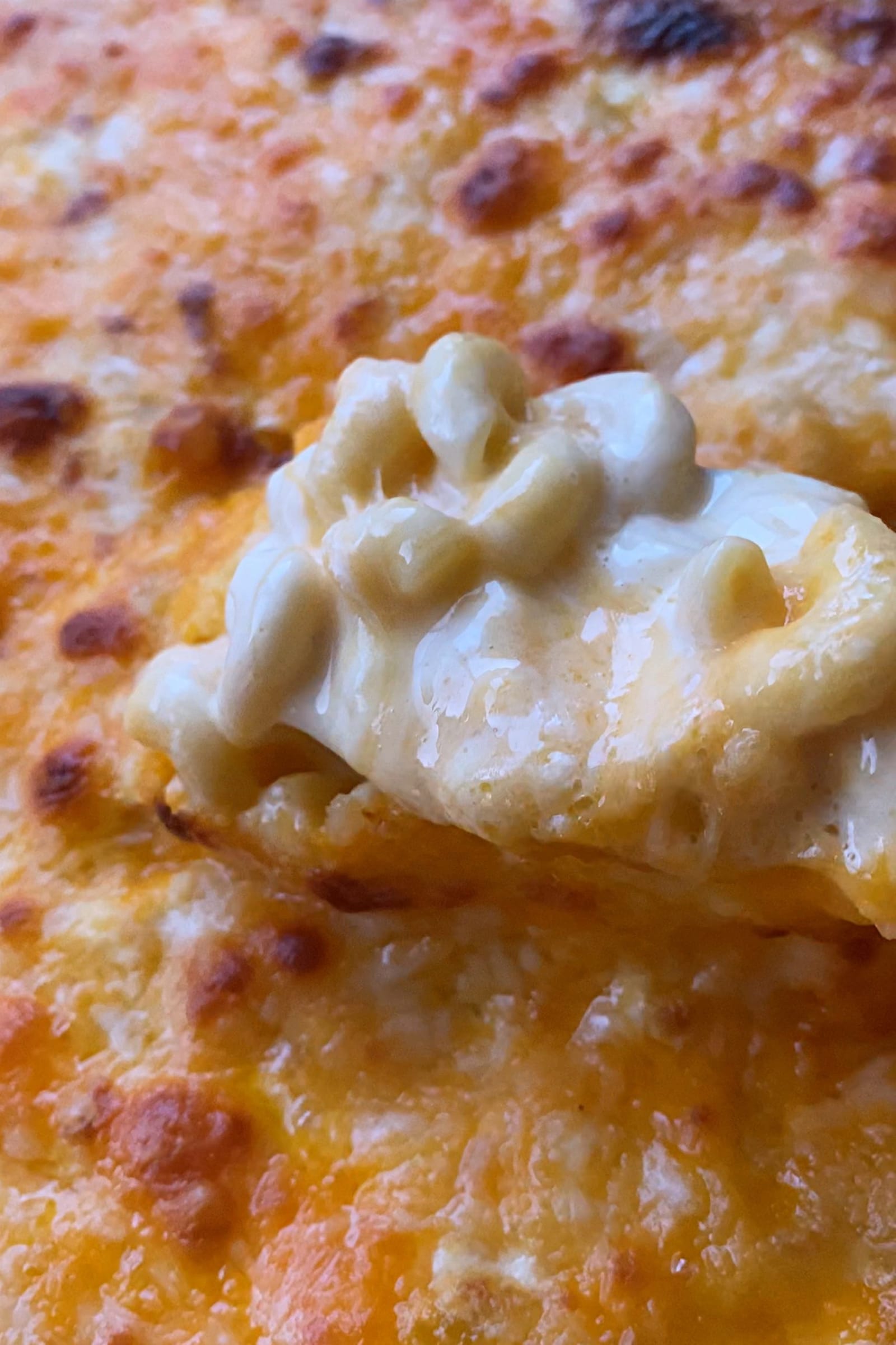 Southern Baked Macaroni and Cheese
